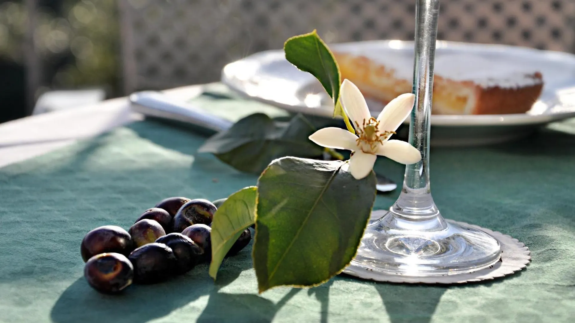 Hotel Al Terra Di Mare Levanto